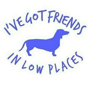 Meet your Posher, Lynne